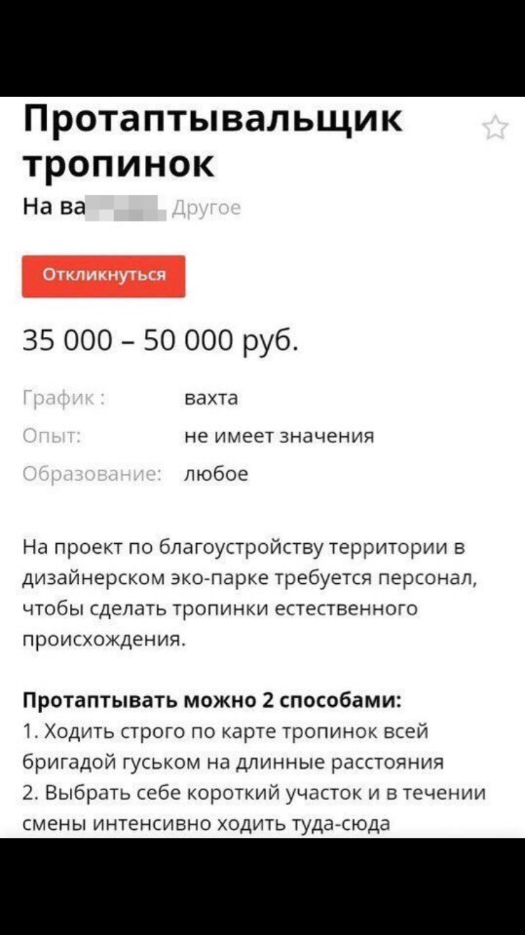 Perfect job - Работа мечты, Announcement