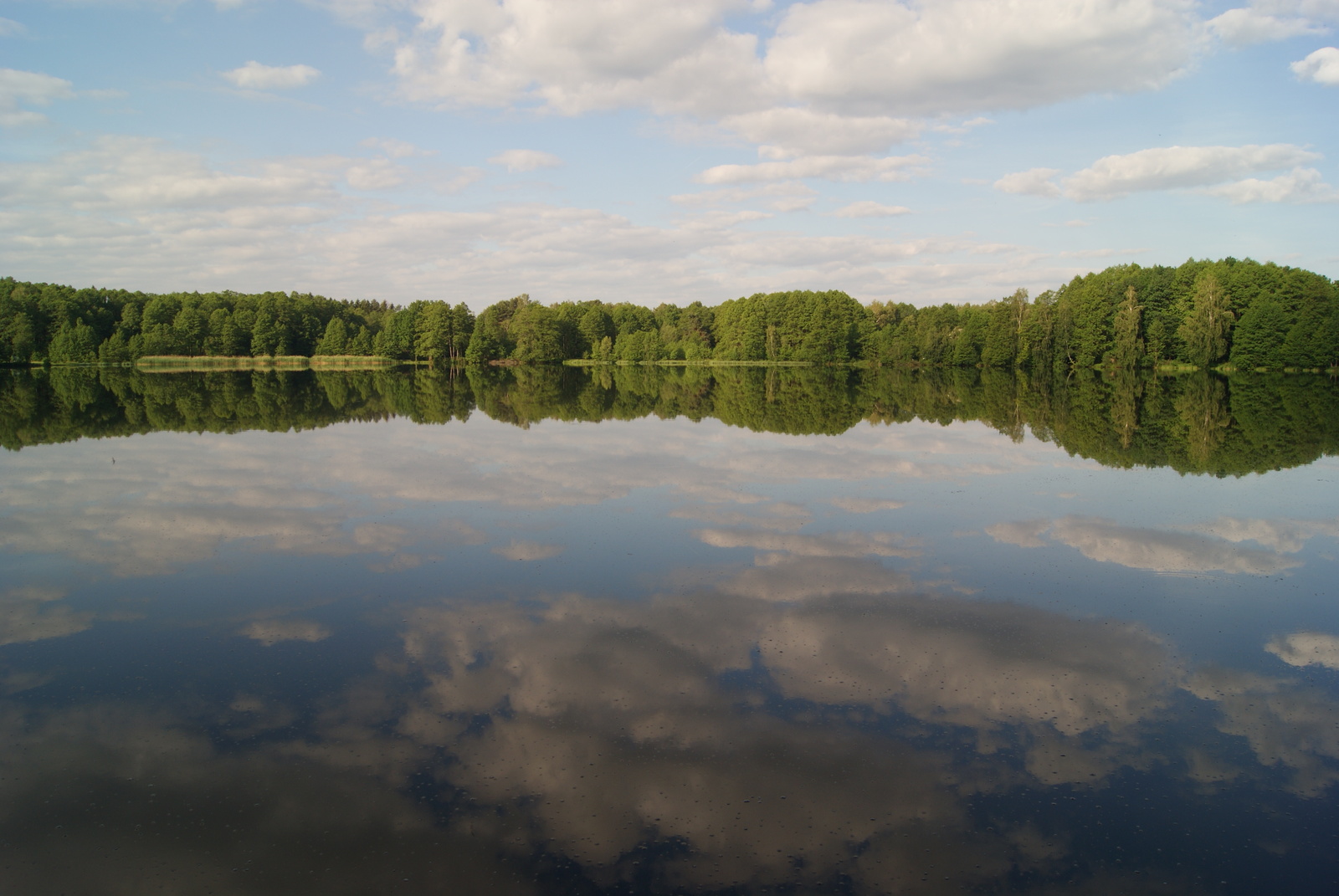 Soulful place. One of my stories... - My, Nature, Lake, PVD, Summer, Hike, Longpost