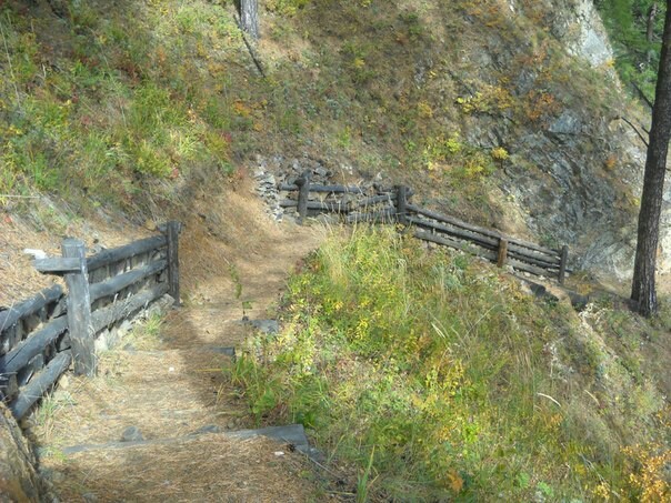 Path to the Big Cats - My, Baikal, Great Baikal Trail, Hike, Longpost