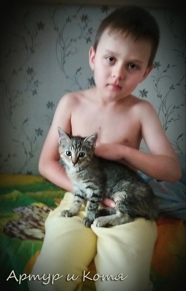 Kitty Kotya, she is Lyalya, she is Manya. - My, cat, Minsk, Catomafia, In good hands, Longpost