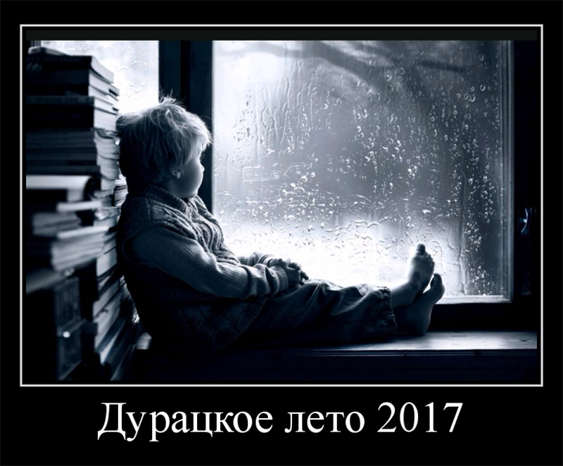 Дурацкое лето 2017 - Моё, Юмор, Лето, Холодное Лето 2017, Погода, Плохая погода, Дождь, Длиннопост