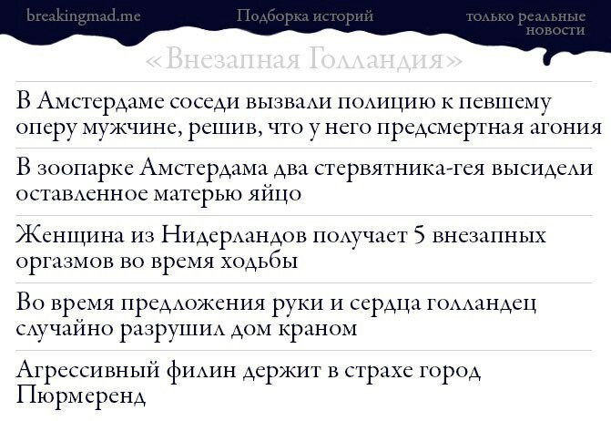 Внезапная Голландия - Нидерланды, Breaking mad, Новости, Нидерланды (Голландия)