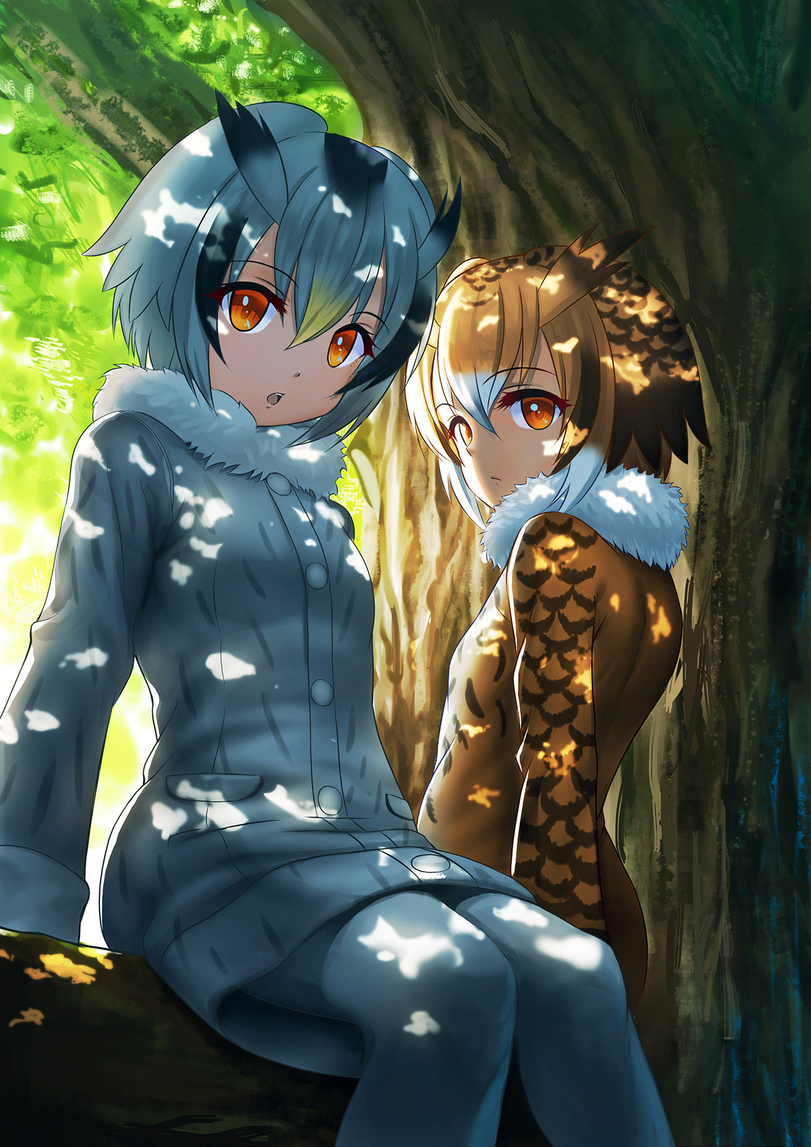 Kemono Friends - Anime Art, Аниме, Eurasian Eagle Owl, Northern white-faced Owl, Kemono Friends