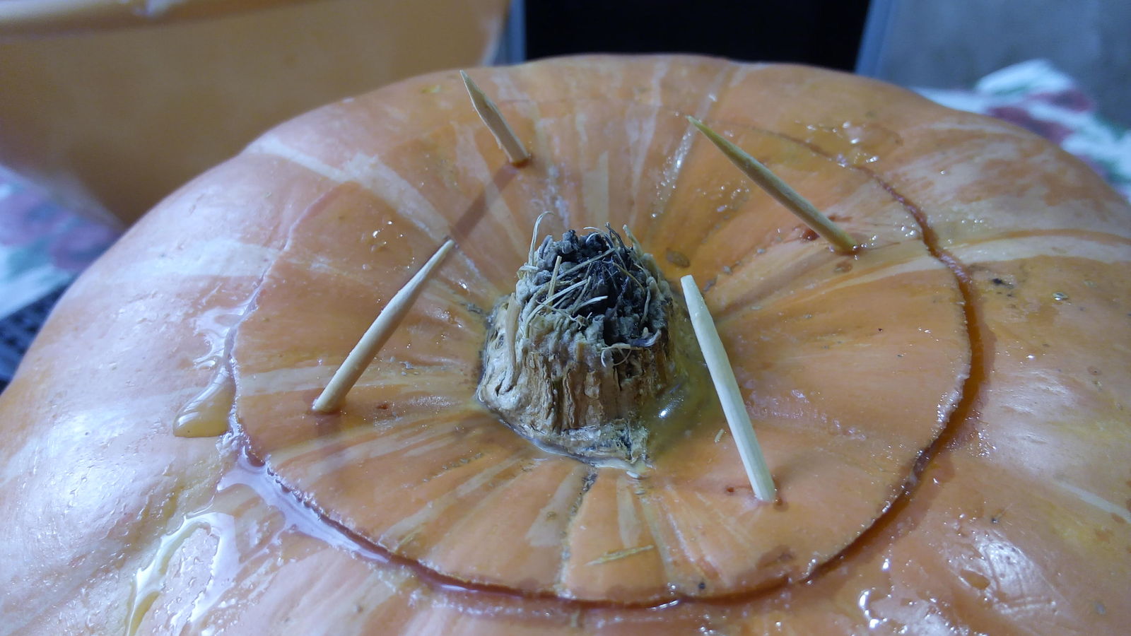 My German friends and pumpkin... - My, Food, Hobby, Meat, Meat eaters, Hot, Experiment, Homemade, Fresh, Longpost