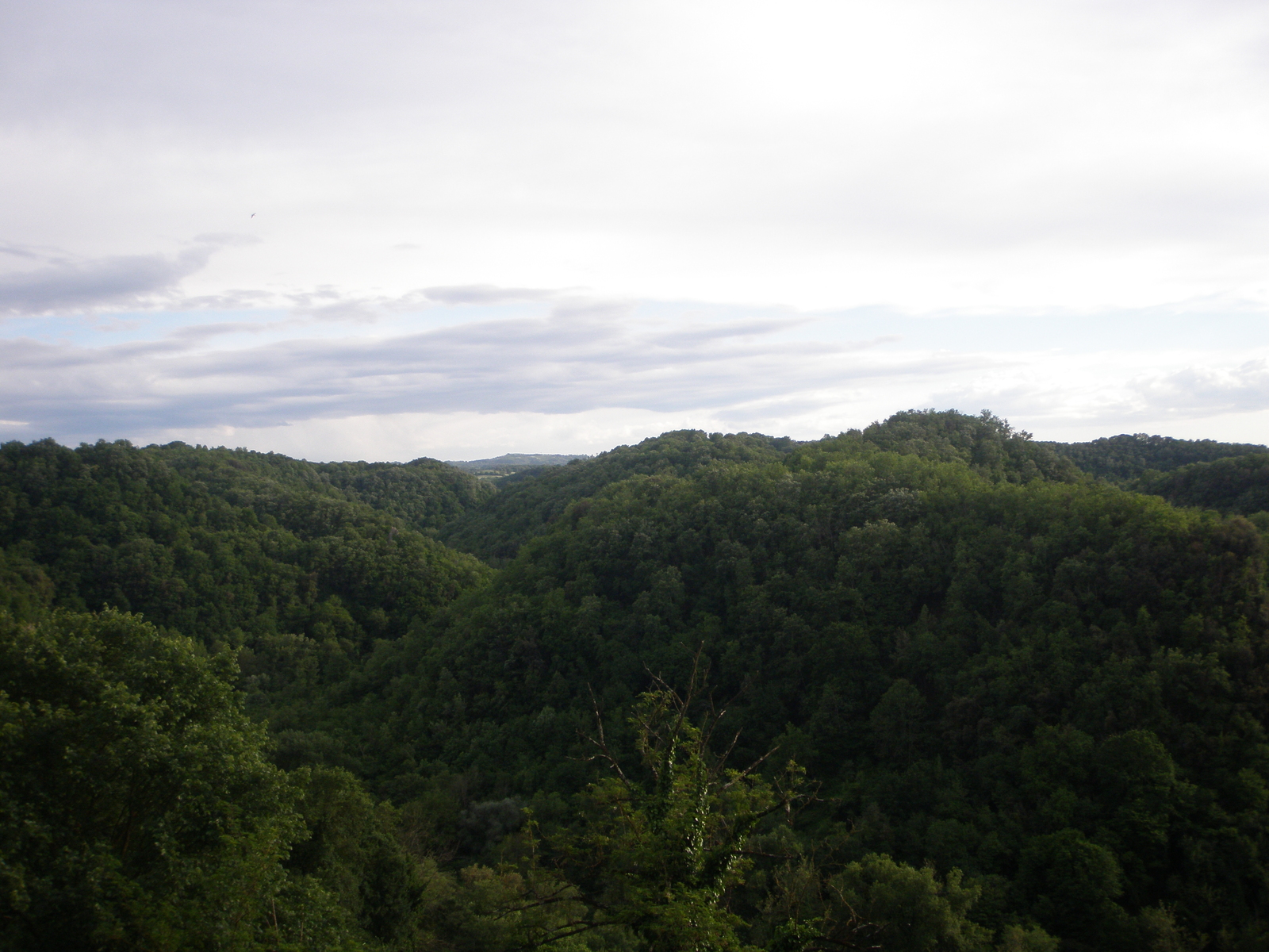 Beautiful views - My, The photo, Landscape, Town, Longpost