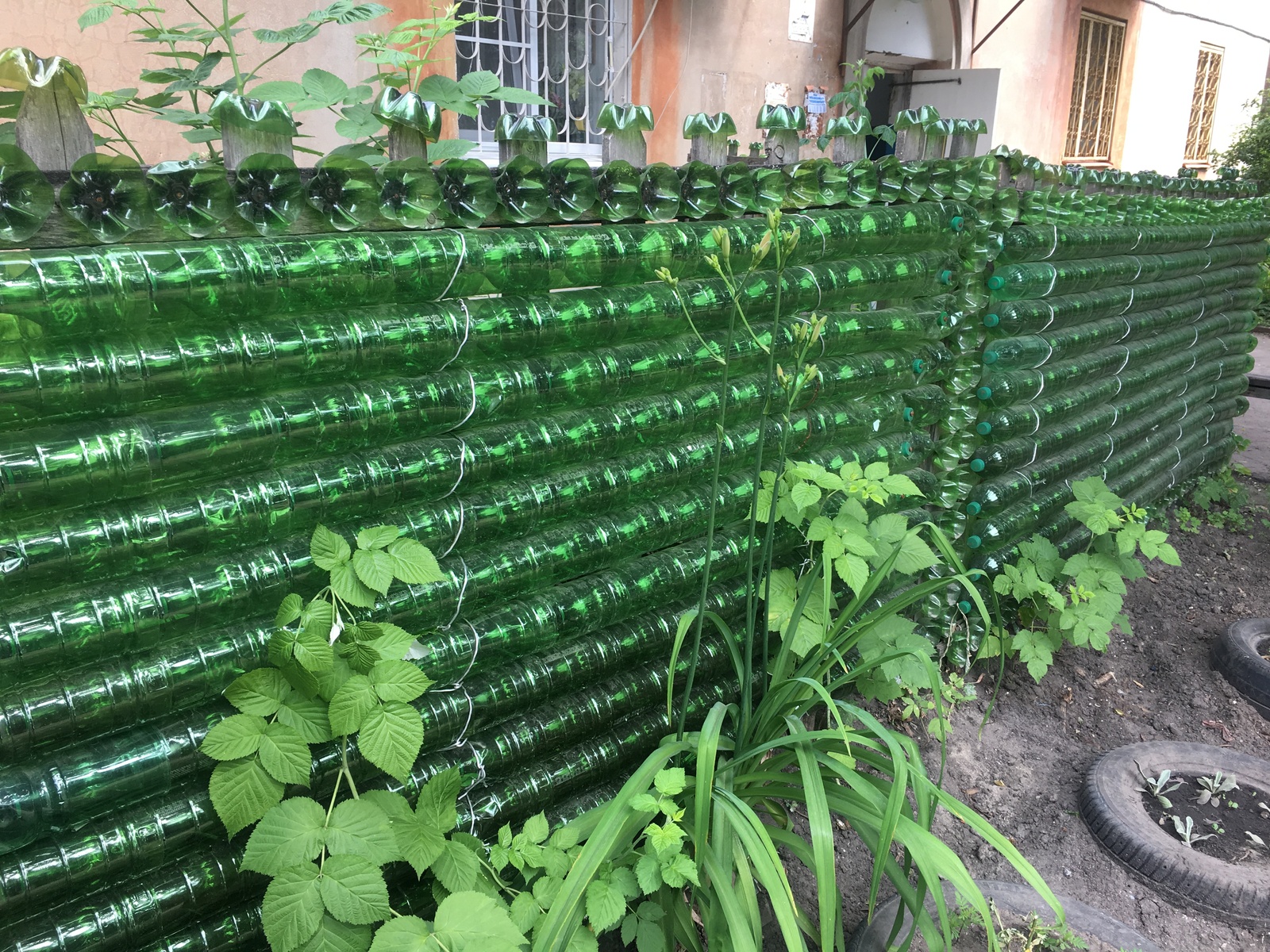 All in the house - My, Fence, Rack, Eggplant