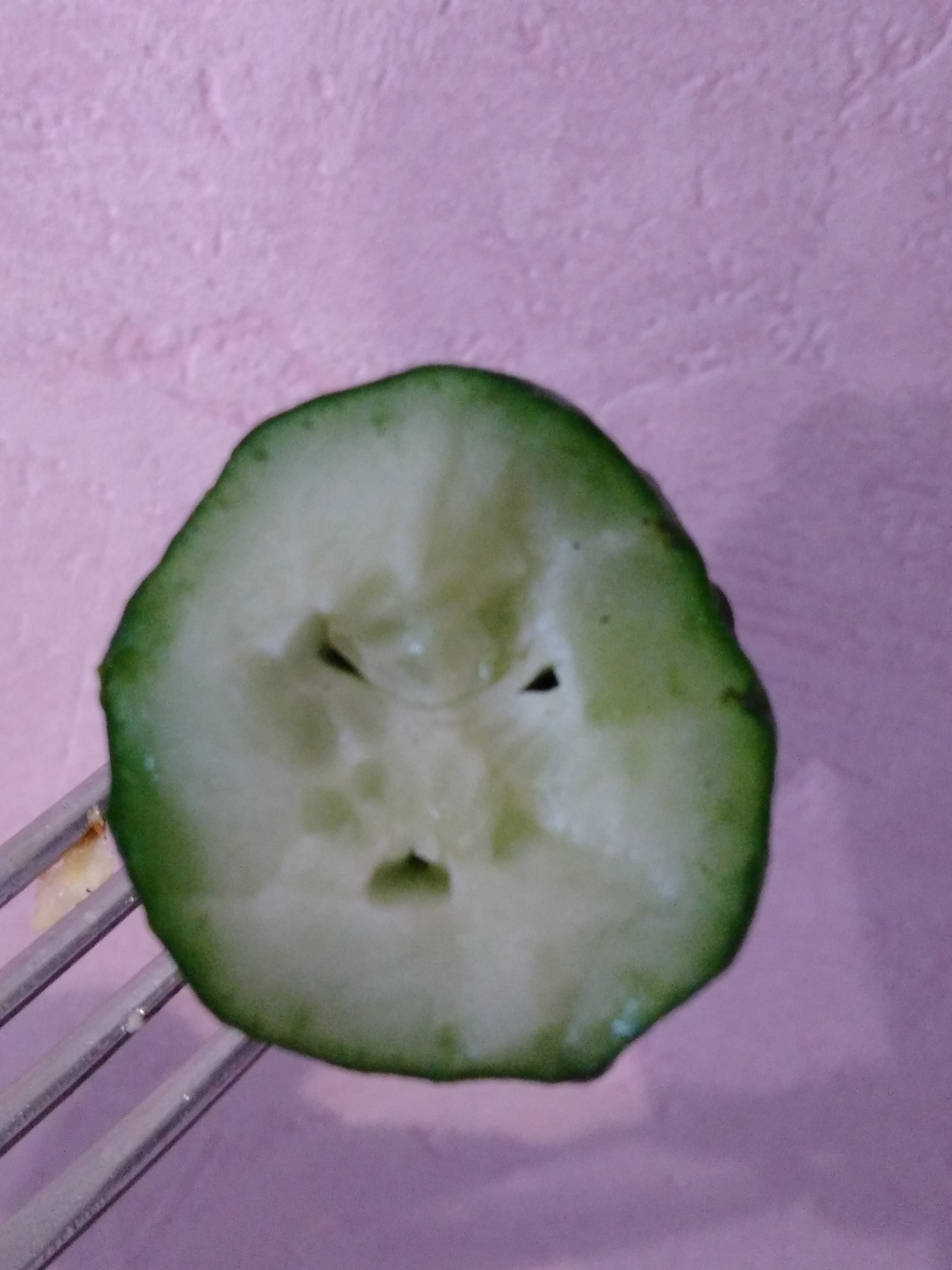 It seems that this cucumber does not like something - Cucumbers, Food