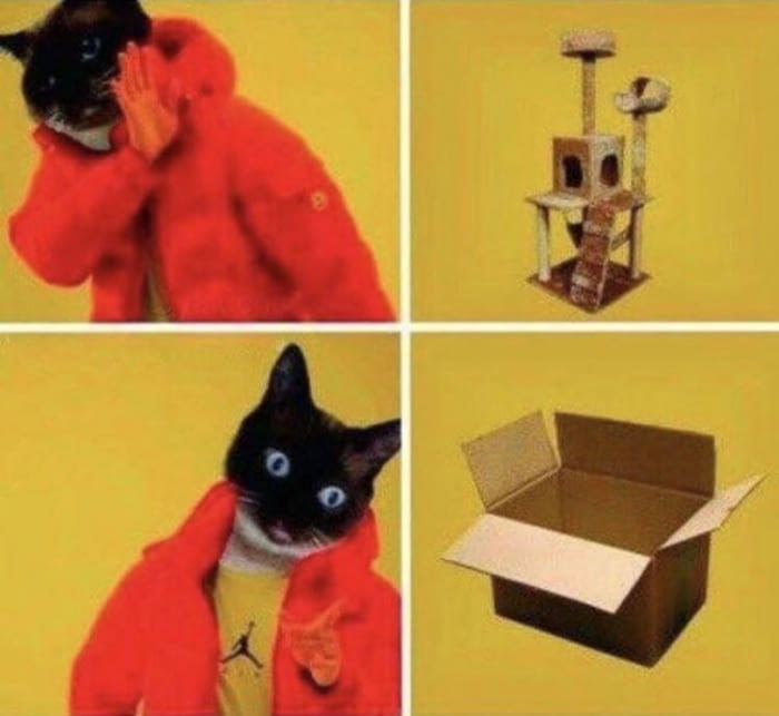 The choice is clear - Box, Box and cat, Choice, cat