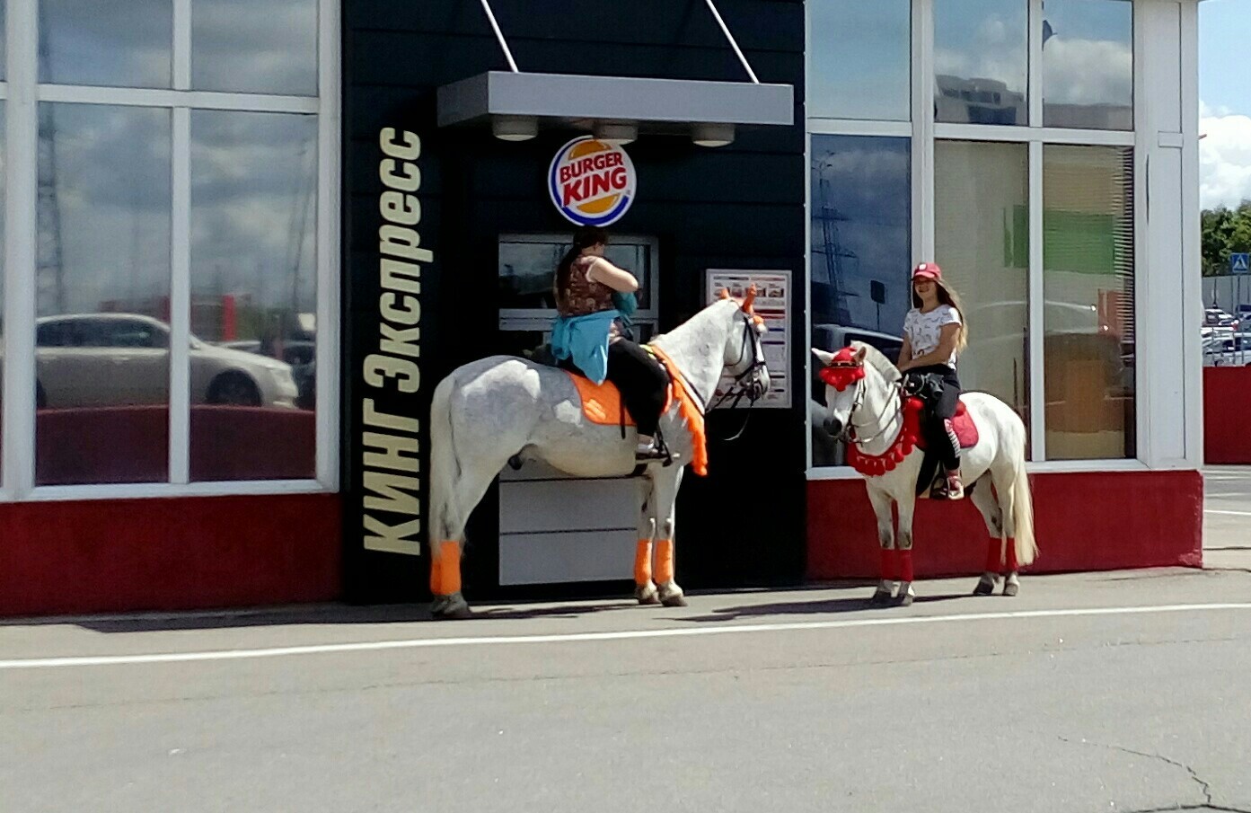 You will not be full of oats alone - My, Horses, Burger king, Dinner