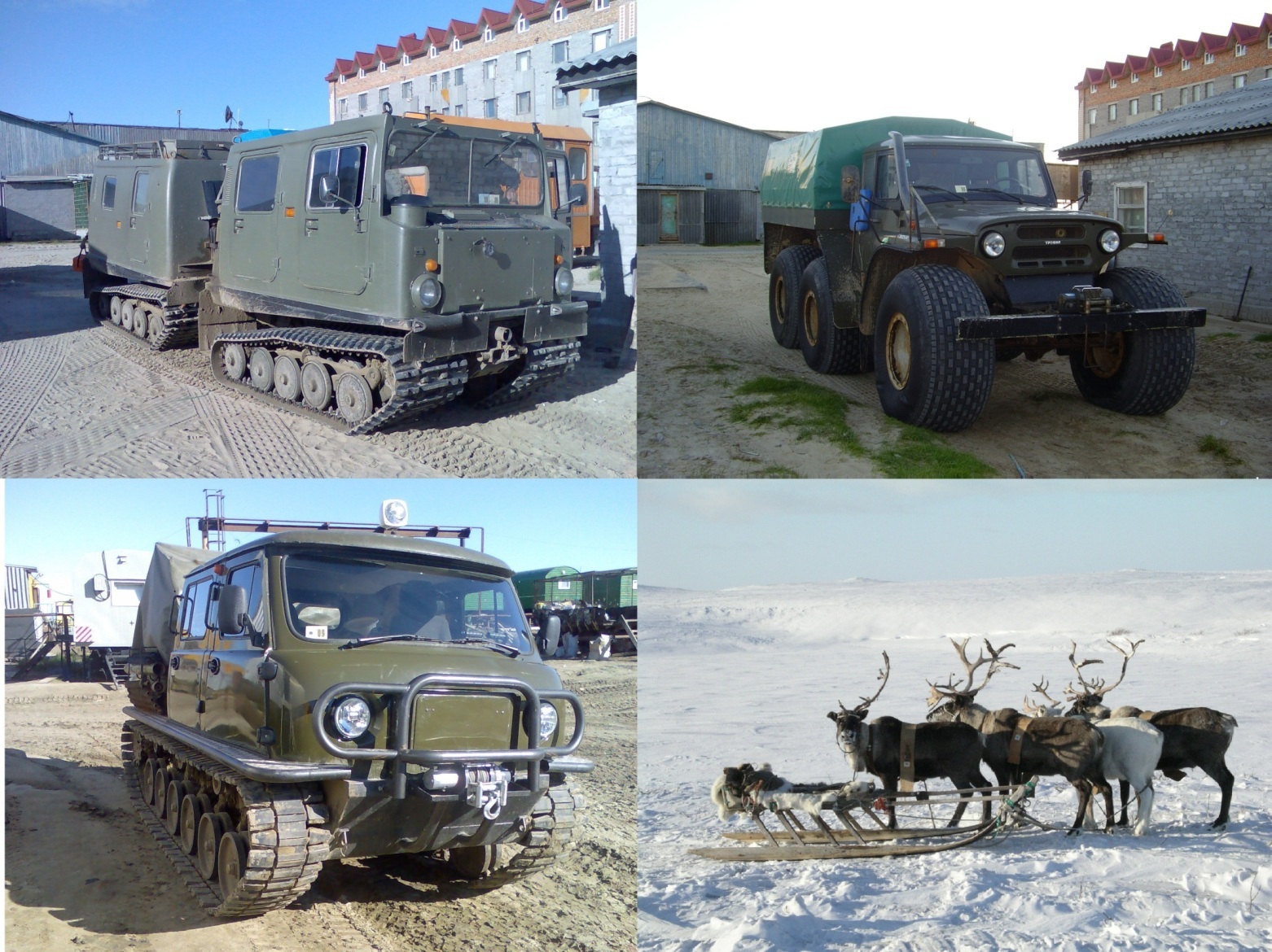 Far North through the eyes of a geologist (AKHTUNG MANY PICTURES) - My, Yamal, Geology, Longpost