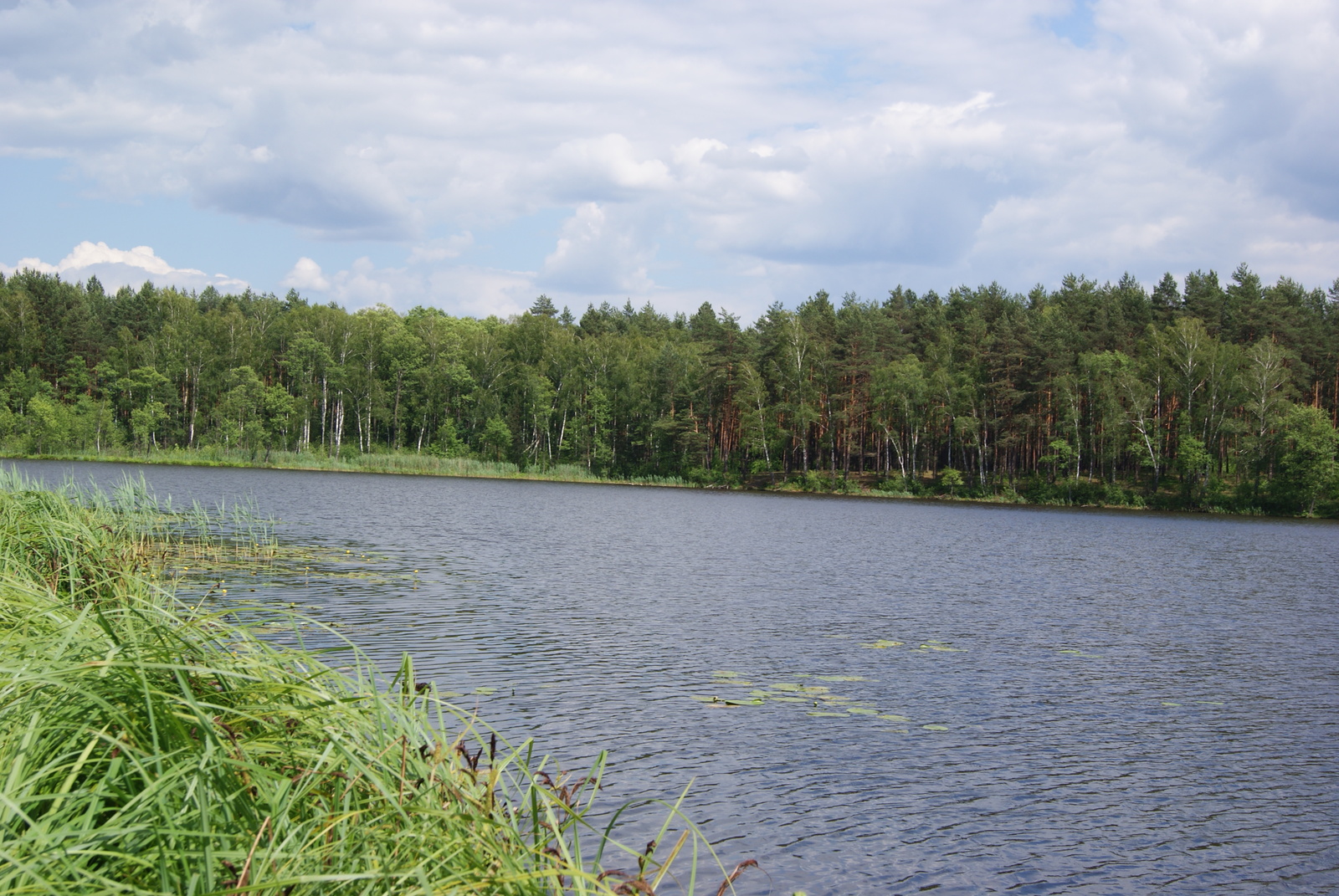 Soulful place. One of my stories... - My, Nature, Lake, PVD, Summer, Hike, Longpost