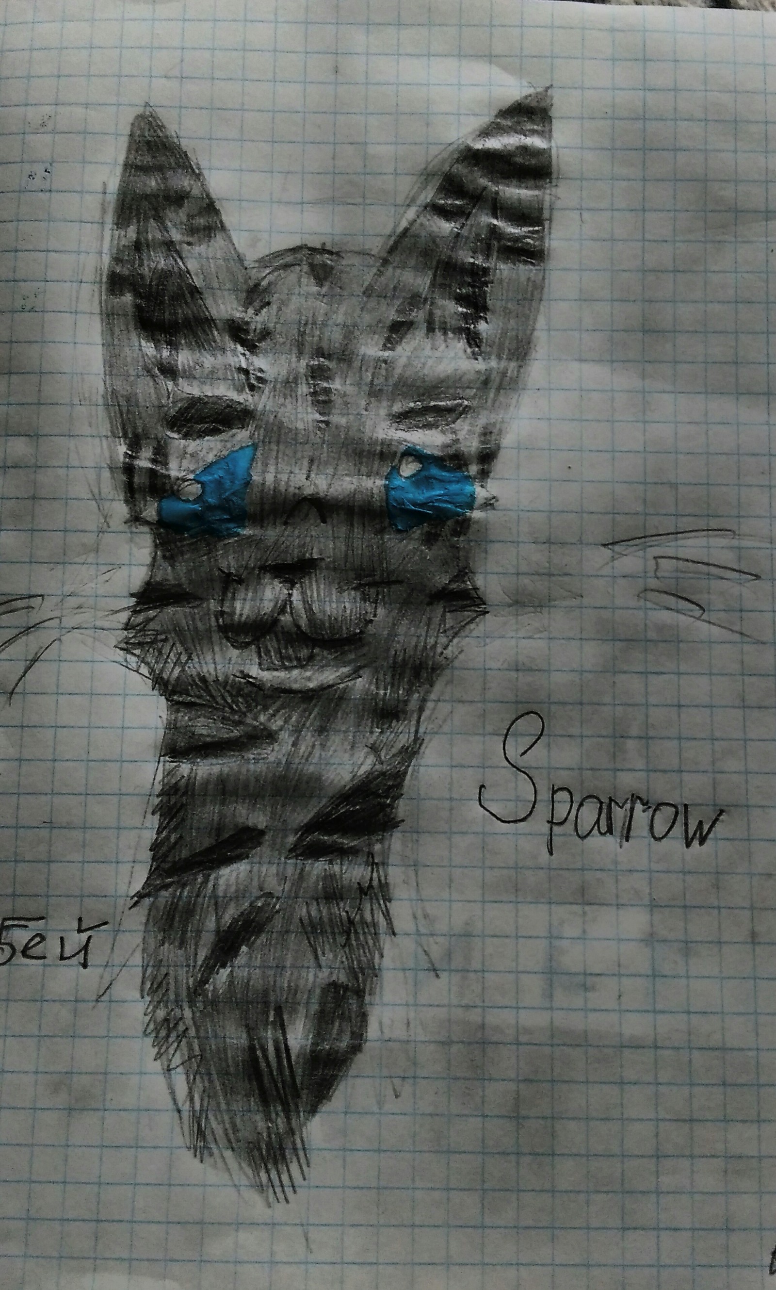 Sparrow. [Cat Wars] - My, , Sparrow