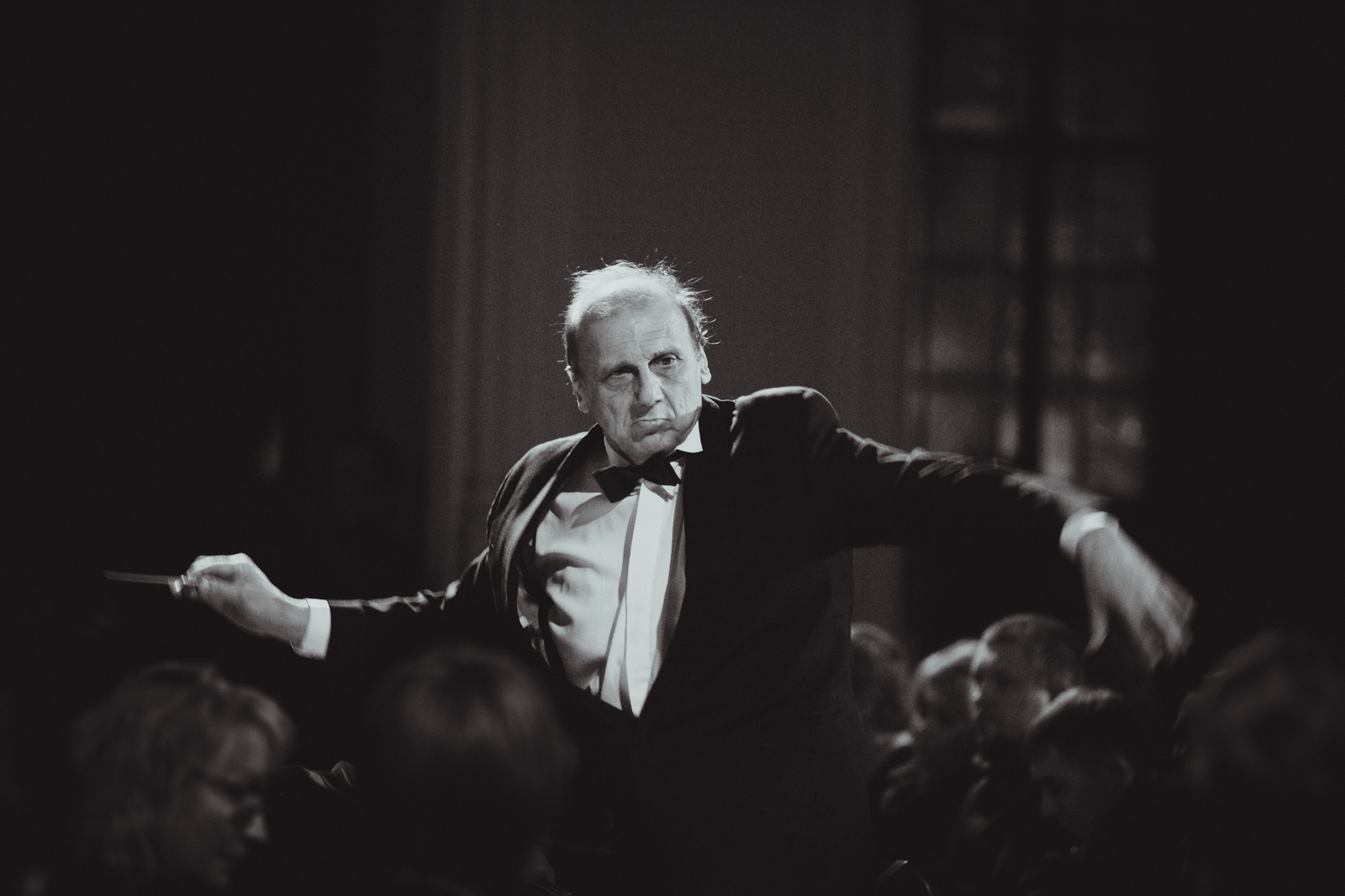 Conductors - My, Longpost, The photo, Reportage, Concert, Conductor