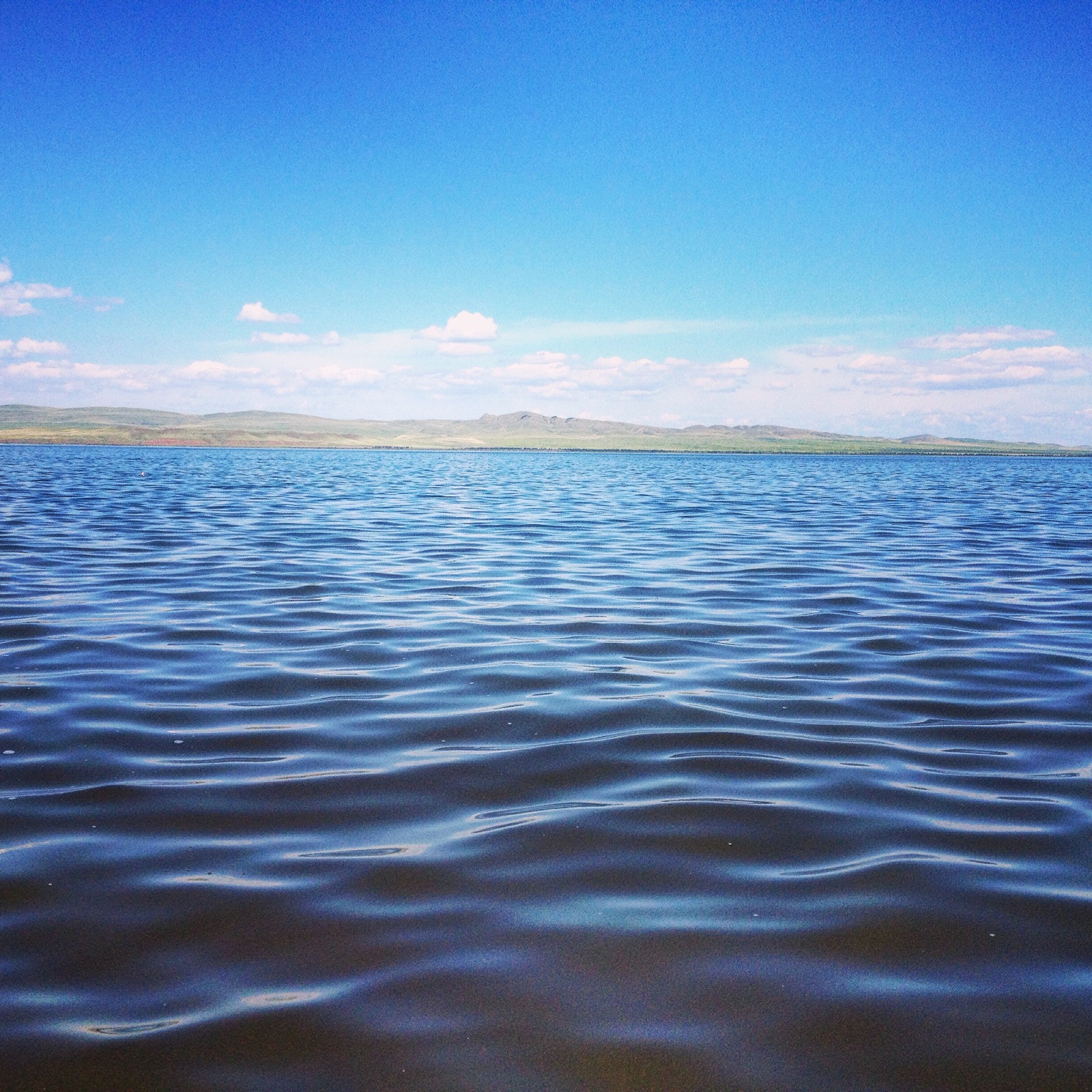 Republic of Khakassia, Lake Shira - My, , , , , Hello reading tags, Longpost, Nature