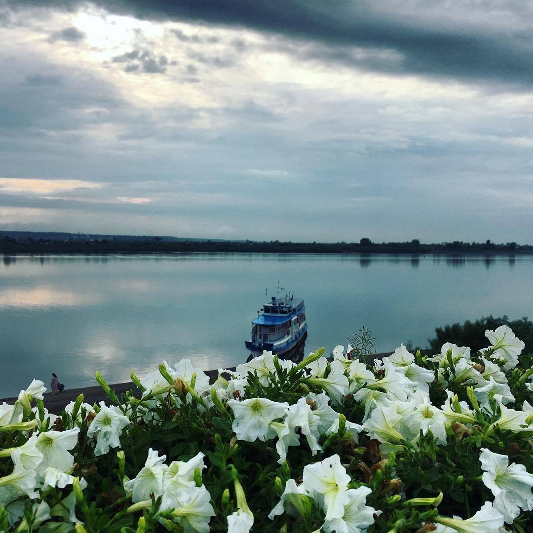 Blooming Tomsk - Tomsk, Flowers, beauty, Longpost