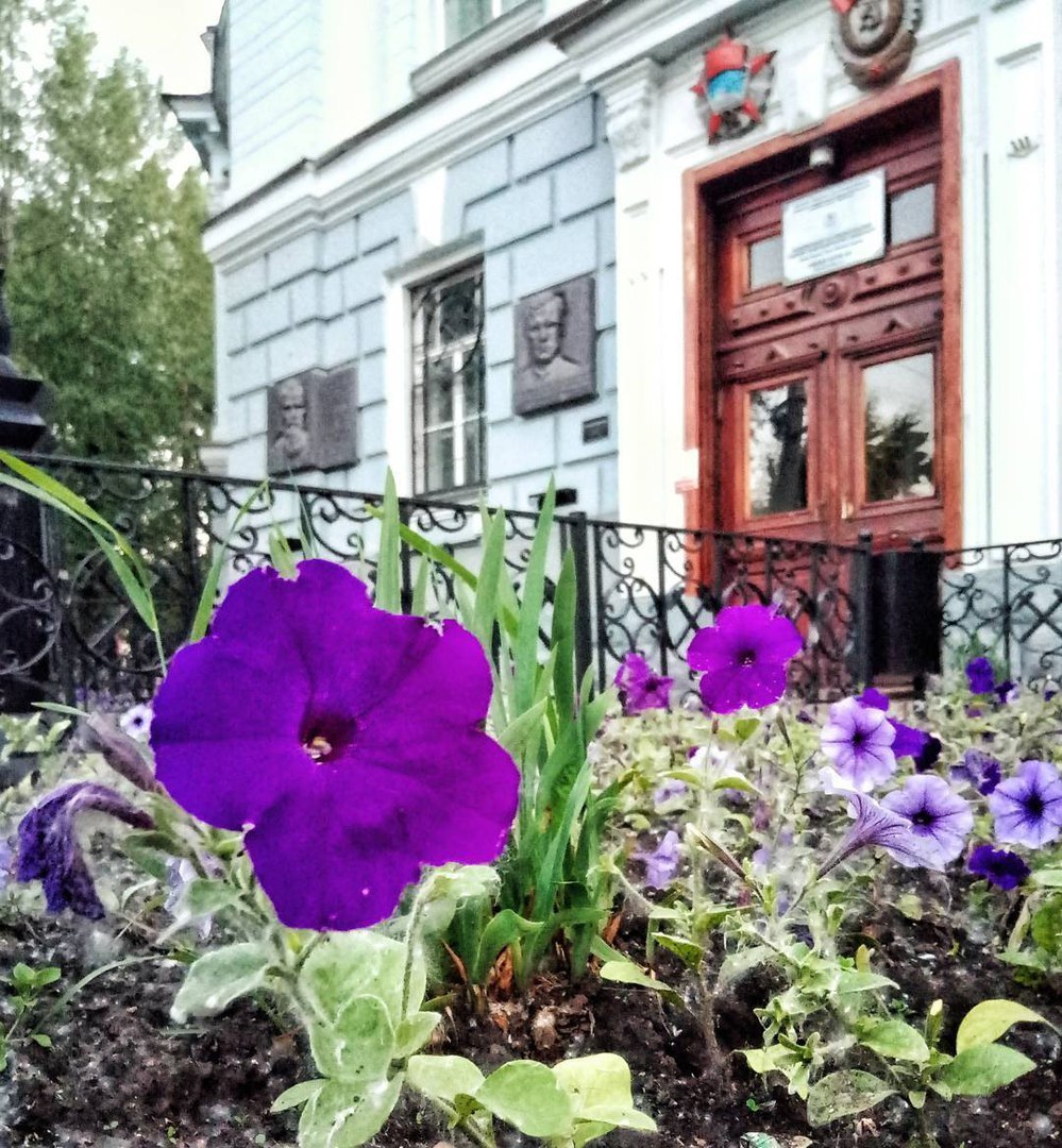 Blooming Tomsk - Tomsk, Flowers, beauty, Longpost