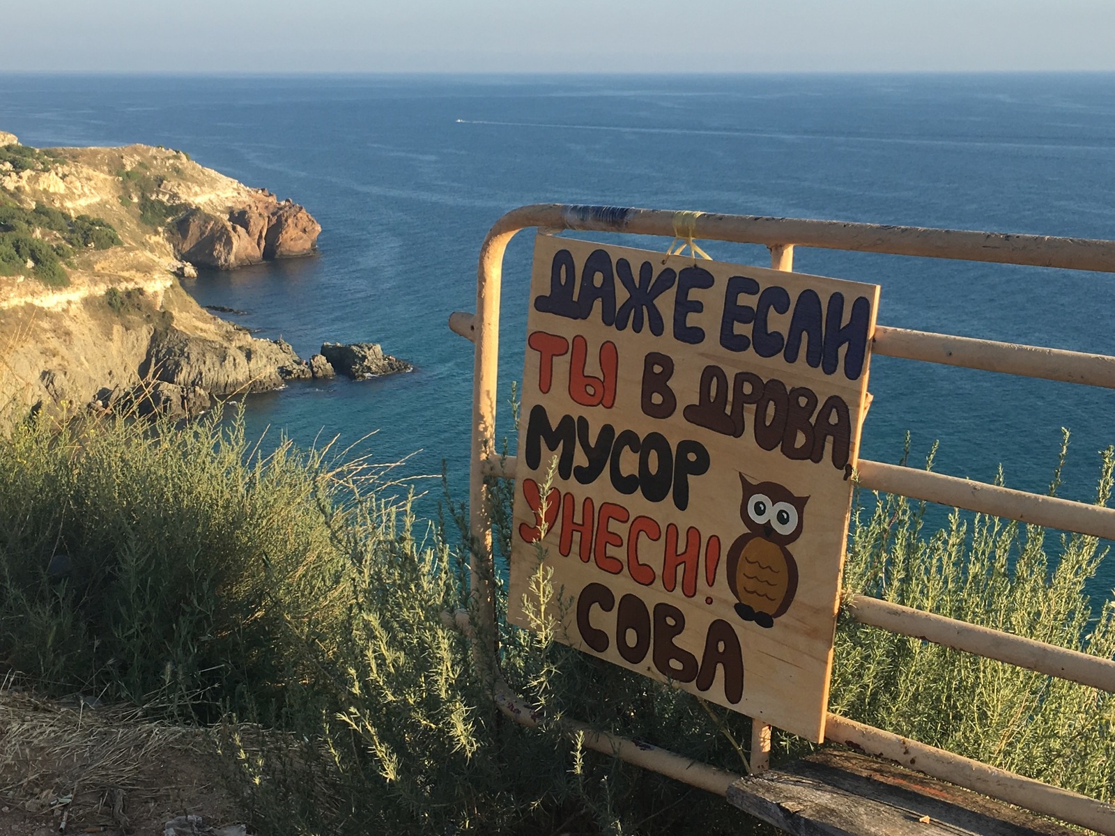 Motivational owl - My, The photo, Motivator, Don't litter!, Owl, Funny, Black Sea, Sevastopol, Cape Fiolent