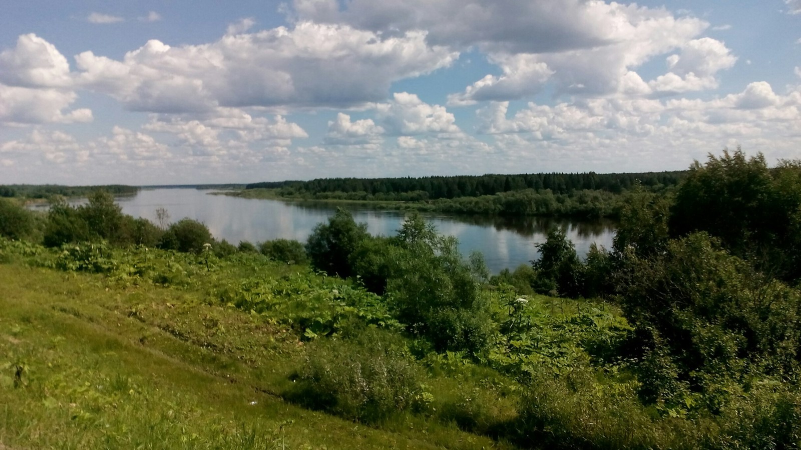 Decided to ride a bike a little today, but something got a little carried away. - My, A bike, Walk, Nature, Longpost