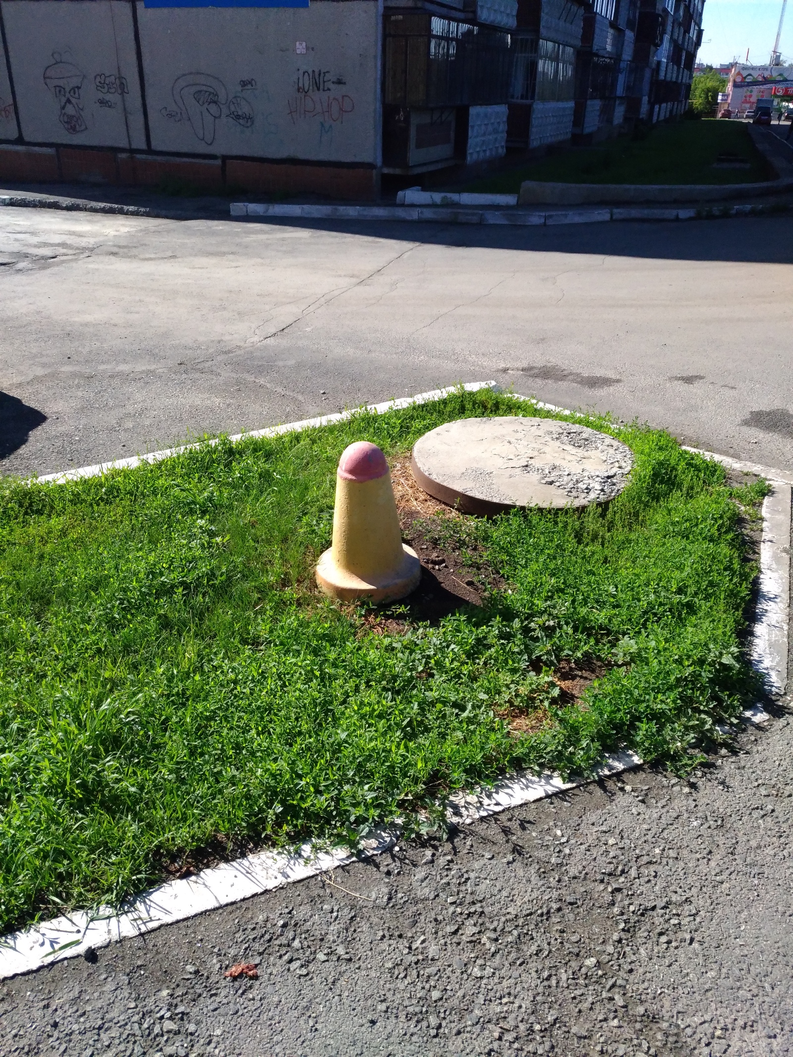 Just look how green the grass is! - Thing, Columns, Good mood, Signs, Everywhere, Similarity, Penis, Everywhere