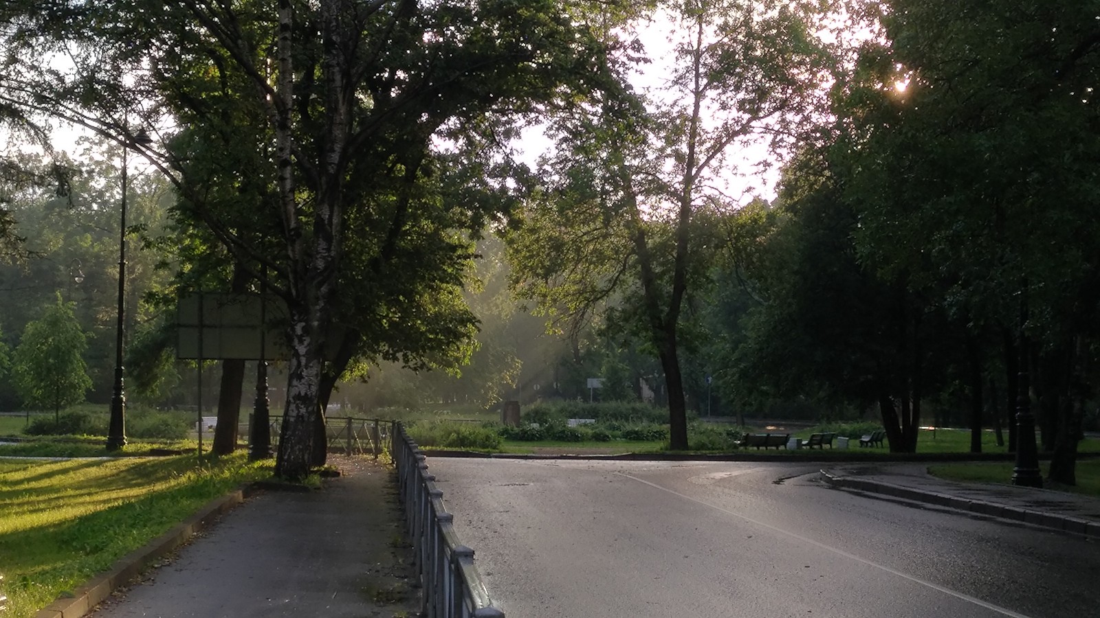 After the rain, on the way home - My, Saint Petersburg, Nature, The photo, The sun