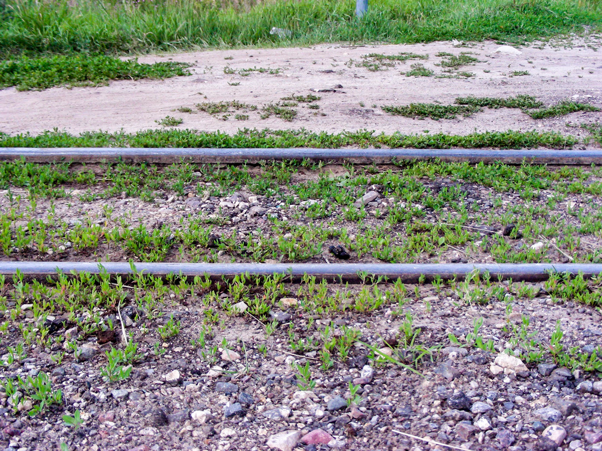 Post in memory of the Ryazanovskaya narrow-gauge railway ... - My, Narrow gauge, Locomotive, Trolley, Railway carriage, Railway, , , Rails, Longpost