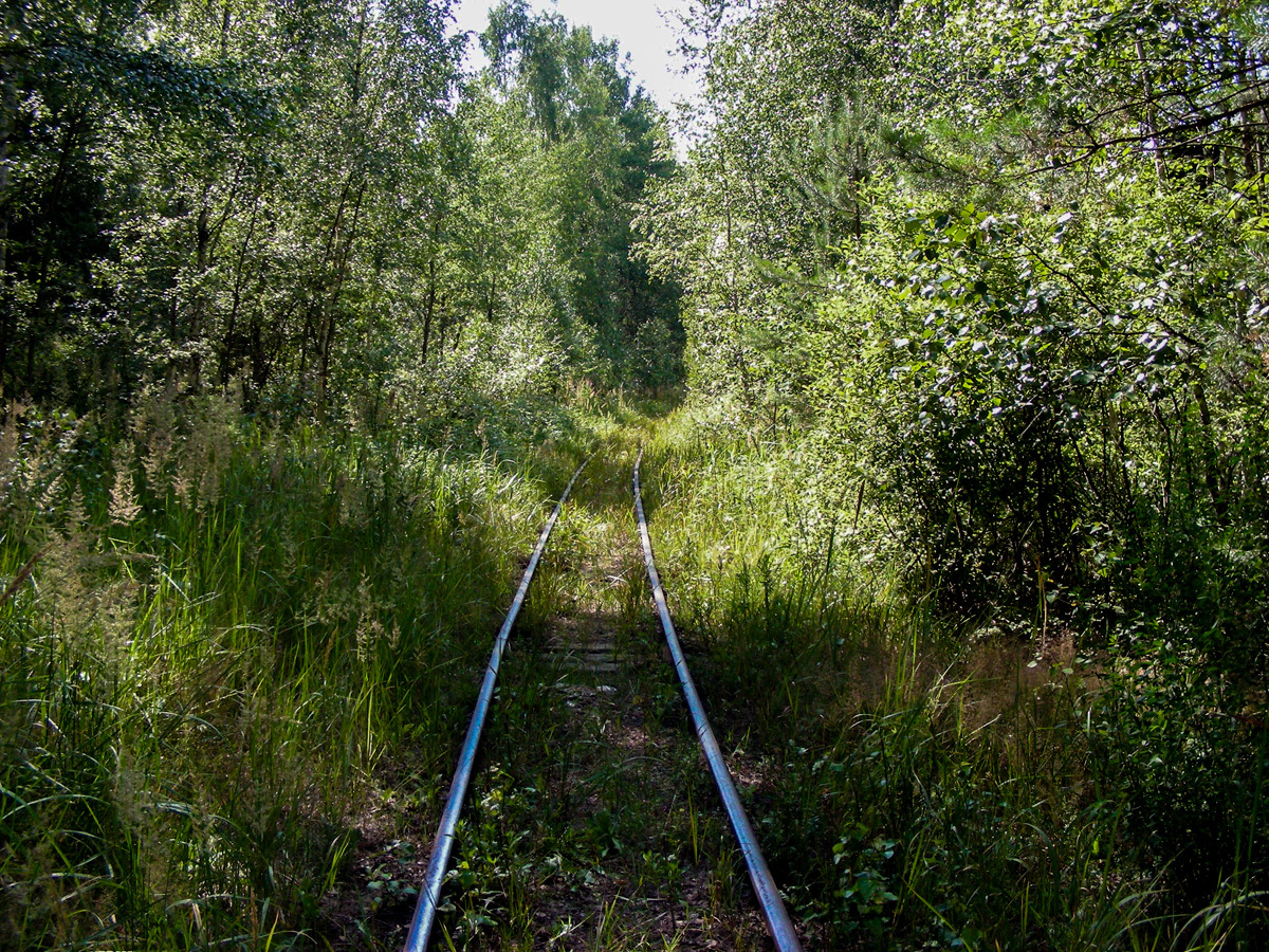 Post in memory of the Ryazanovskaya narrow-gauge railway ... - My, Narrow gauge, Locomotive, Trolley, Railway carriage, Railway, , , Rails, Longpost