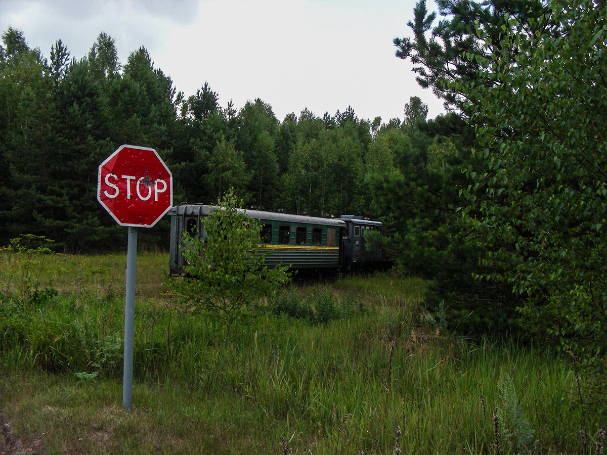 Post in memory of the Ryazanovskaya narrow-gauge railway ... - My, Narrow gauge, Locomotive, Trolley, Railway carriage, Railway, , , Rails, Longpost