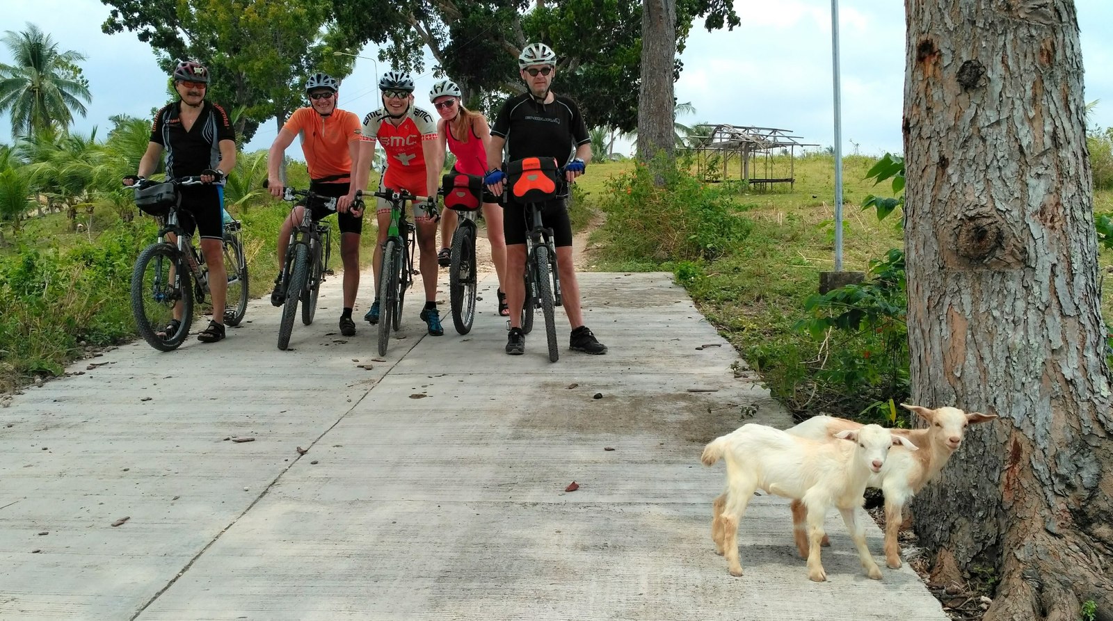 Bicycle Philippines 2017. Some photos from the trip. - My, Philippines, A bike, Travels, , Cebu, Bohol, Panglao, , Longpost