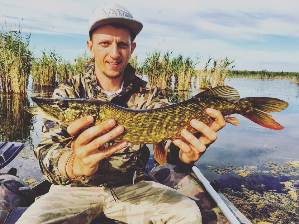 Щука на поверхностный воблер с поводком. Краснодарский край ст. Джумайловка оз. Панурский лиман. - Моё, Рыбалка, Щука, Хищная рыба, Рыбалка в краснодаре, Длиннопост