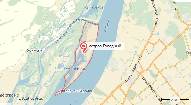 Children were forced to survive in an illegal camp on Golodny Island near Samara - , Children's camp, Survival, news, Samara, 