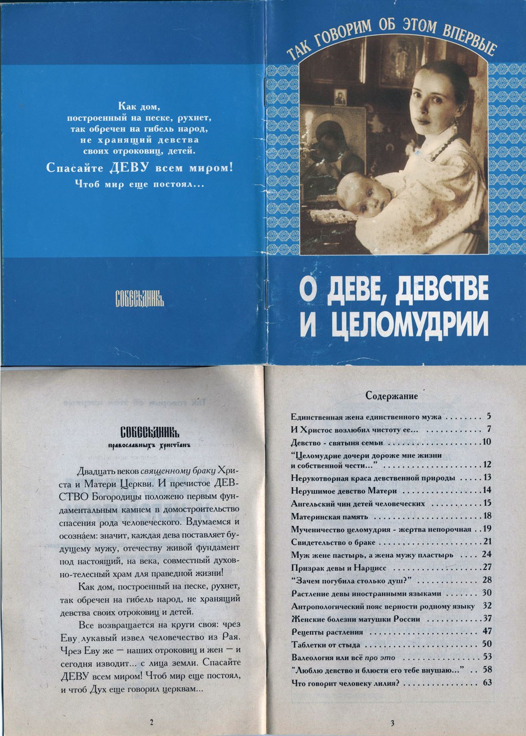 О деве, девстве и целомудрии | Пикабу