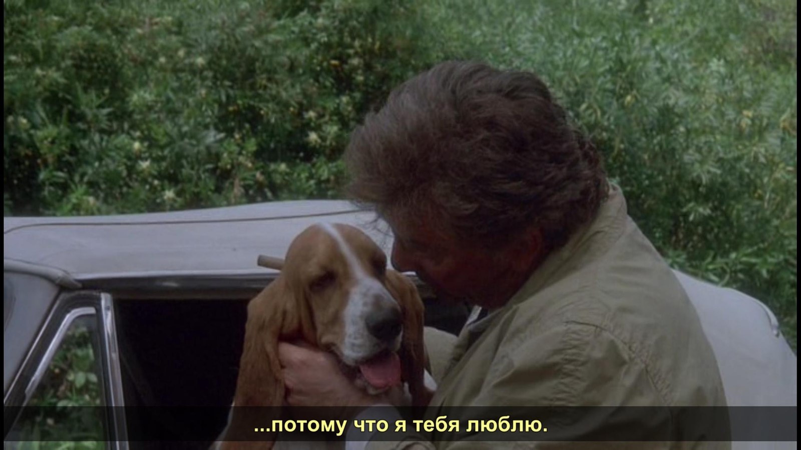 Colombo is Colombo - Peter Falk, Colombo, Inspector, Dog, Serials, Love, Storyboard, Longpost