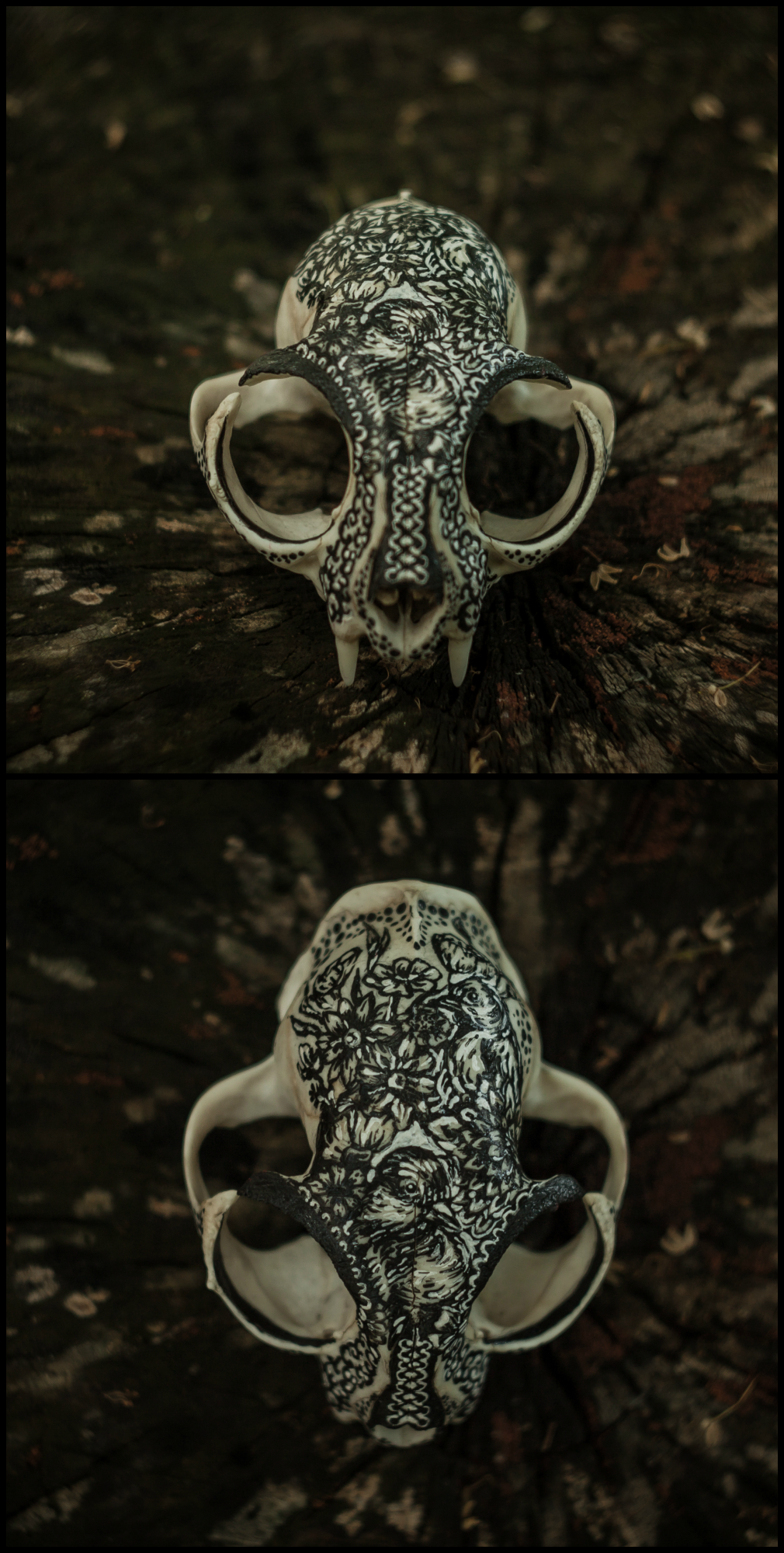 By popular demand :) - My, Scull, Bones, Hobby, Handmade, Longpost