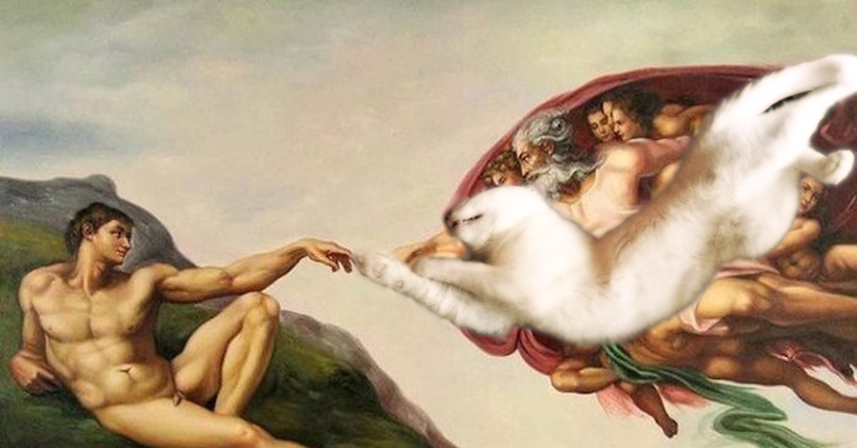 Sleep is also an art - My, cat, Dream, Sistine Chapel, Art, Photoshop master