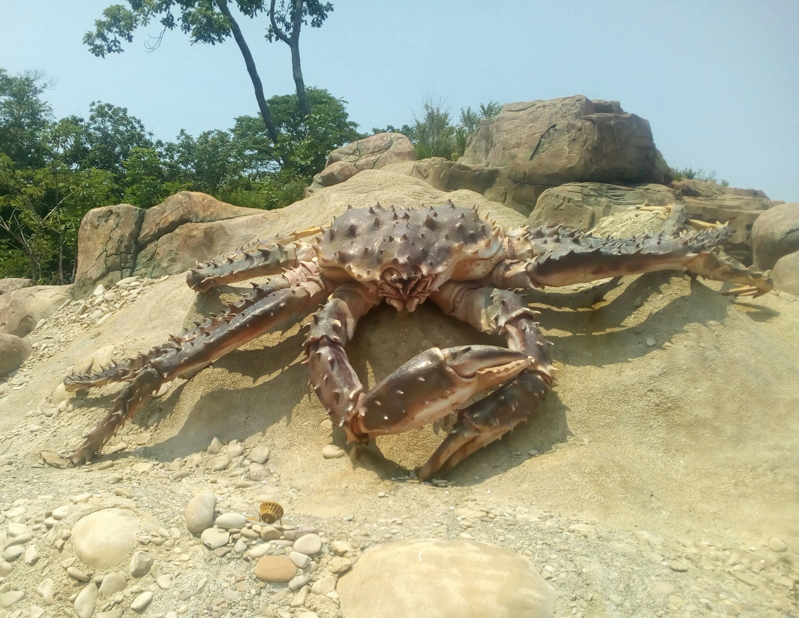 A trip to the aquarium. Vladivostok. O. Russian. 1 part - My, Oceanarium, A fish, Longpost