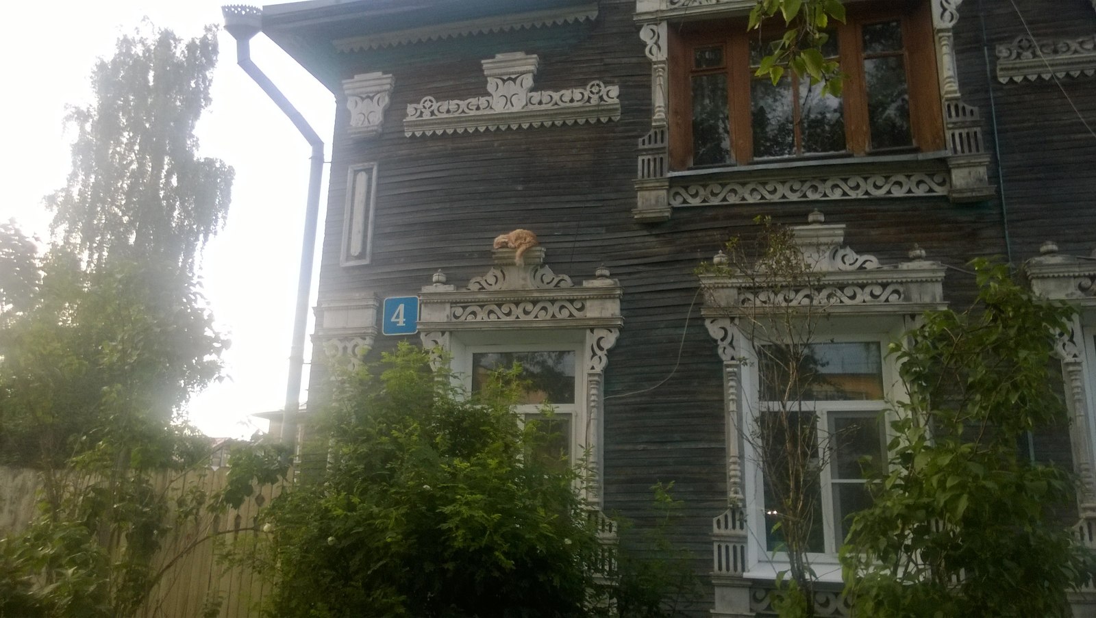 Vologda cat - cat, Vologda, Milota, Wooden architecture