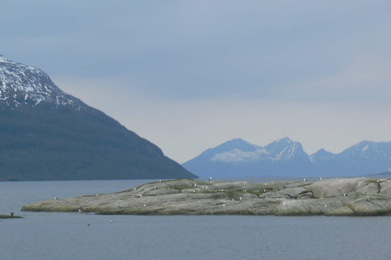 Northern Norway - My, Norway, The photo, Sea, The mountains, Reindeer, Longpost, , wildlife