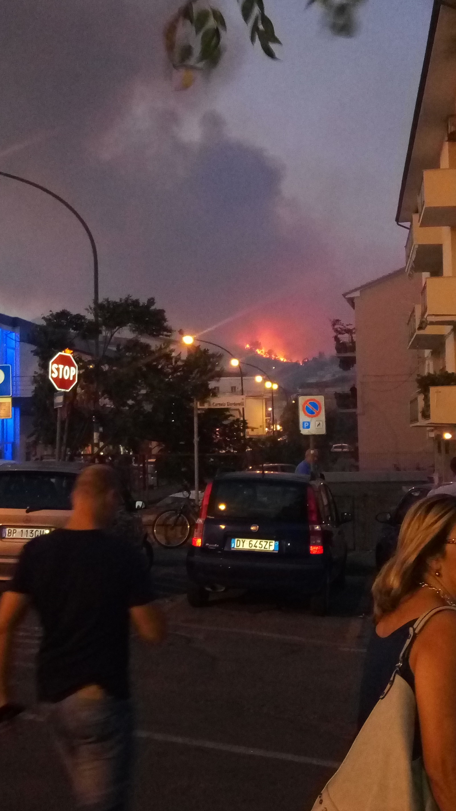 Fires continue in southern Italy - My, Catastrophe, Italy, Carelessness, Longpost