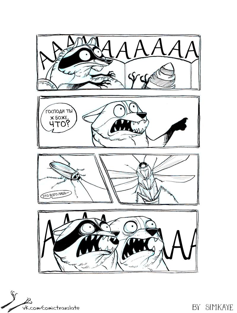 Cockroach. - Comics, Translation, Raccoon, Cockroaches, Simkaye, Coon simkaye