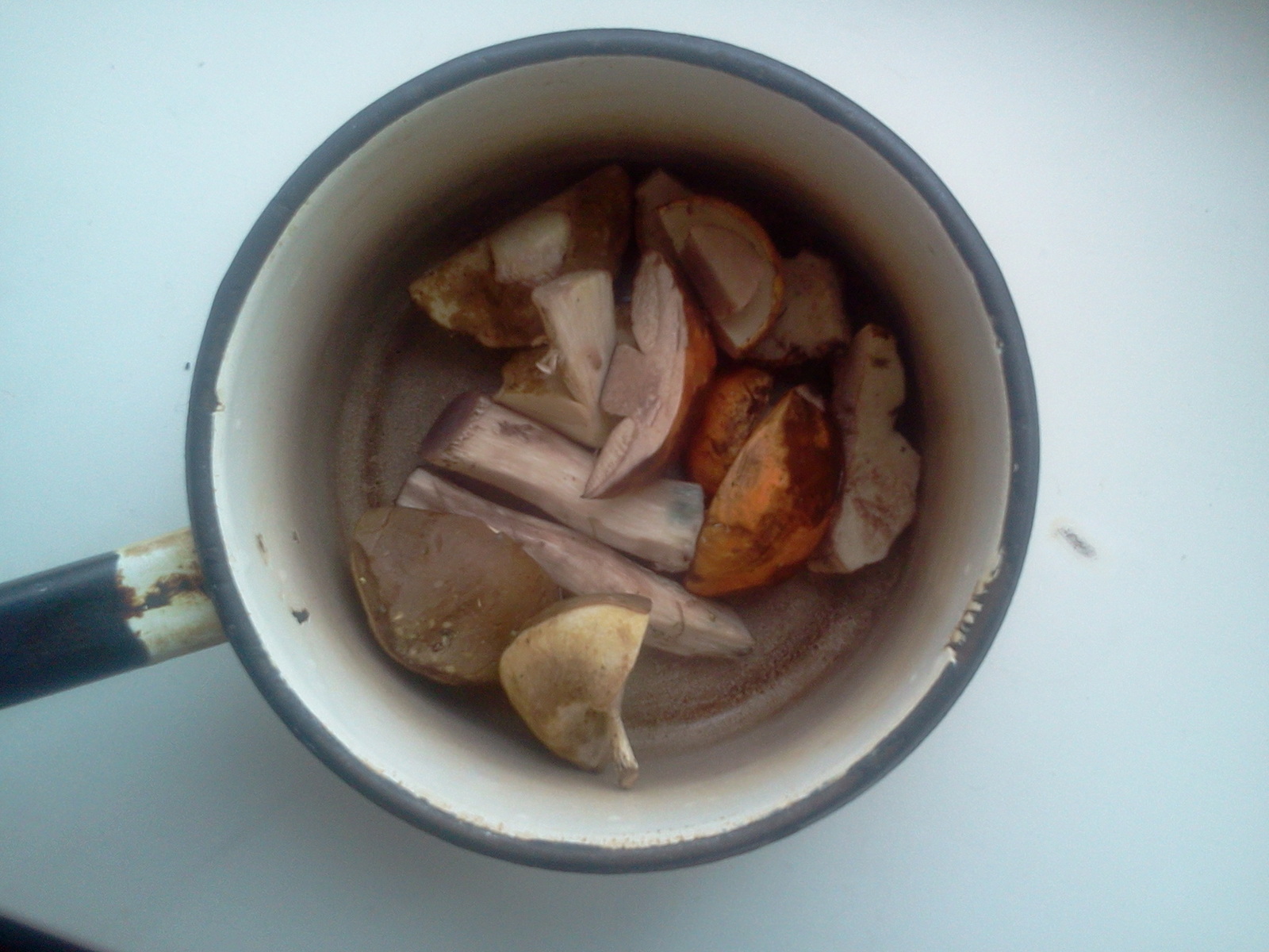 Mushroom soup from A to Z, from search to plate. - My, Mushrooms, Soup, Republic of Belarus, Vitebsk region, Recipe, Longpost