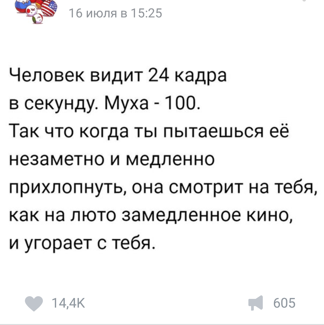 Что, правда? 24 к/с разве не формат вещания ТВ? - Ложь пабликов ВК, ВКонтакте, Паблик