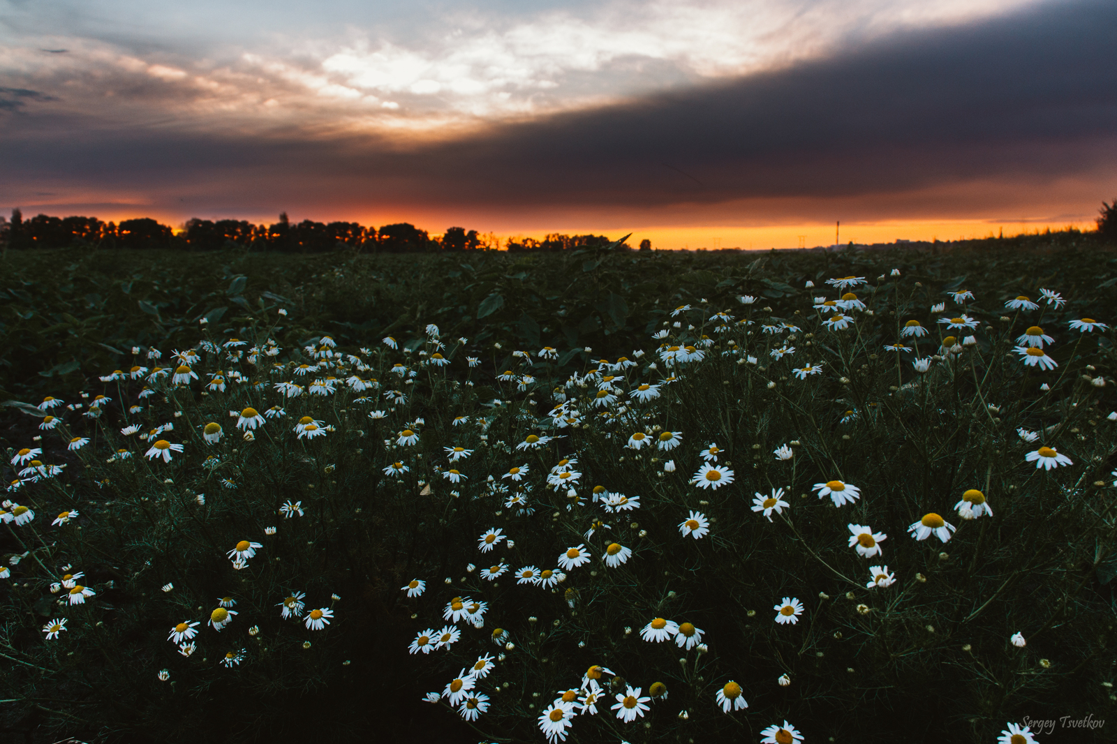 Tonight's sunset - My, My, The photo, Landscape, Sunset, Nature, Longpost