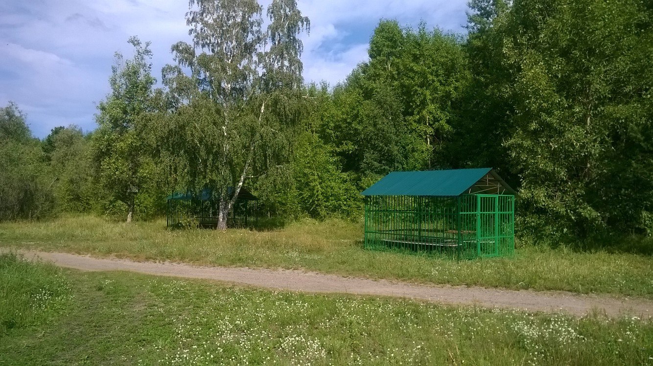 Беседки строгого режима - Новосибирск, Обьгэс, Юмор, Лето, Отдых, Обское море, Свобода, Россия, Длиннопост