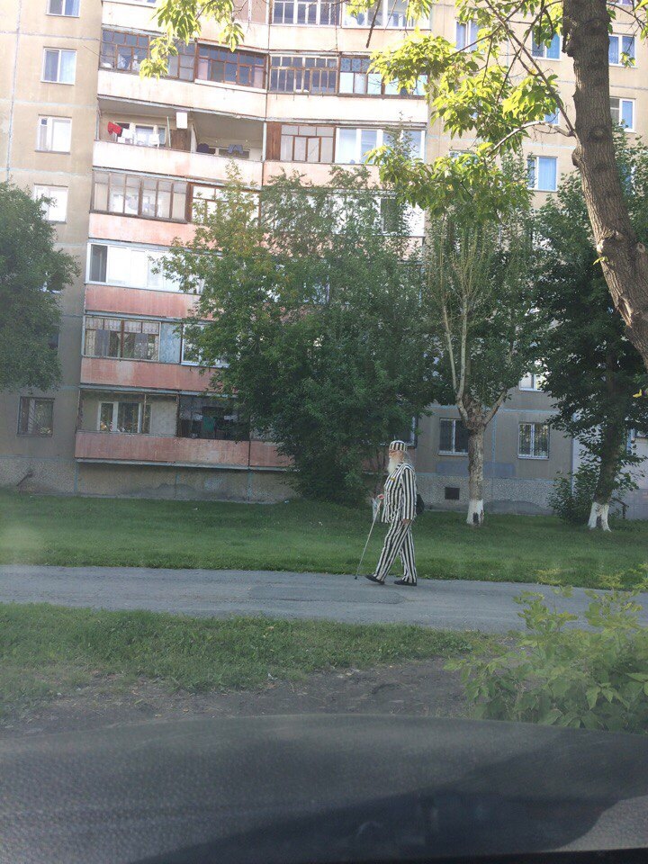 Beetlejuice retired - Beetlejuice, Pension, Tyumen, Humor, In contact with, Stripes, Old age, Style, Longpost