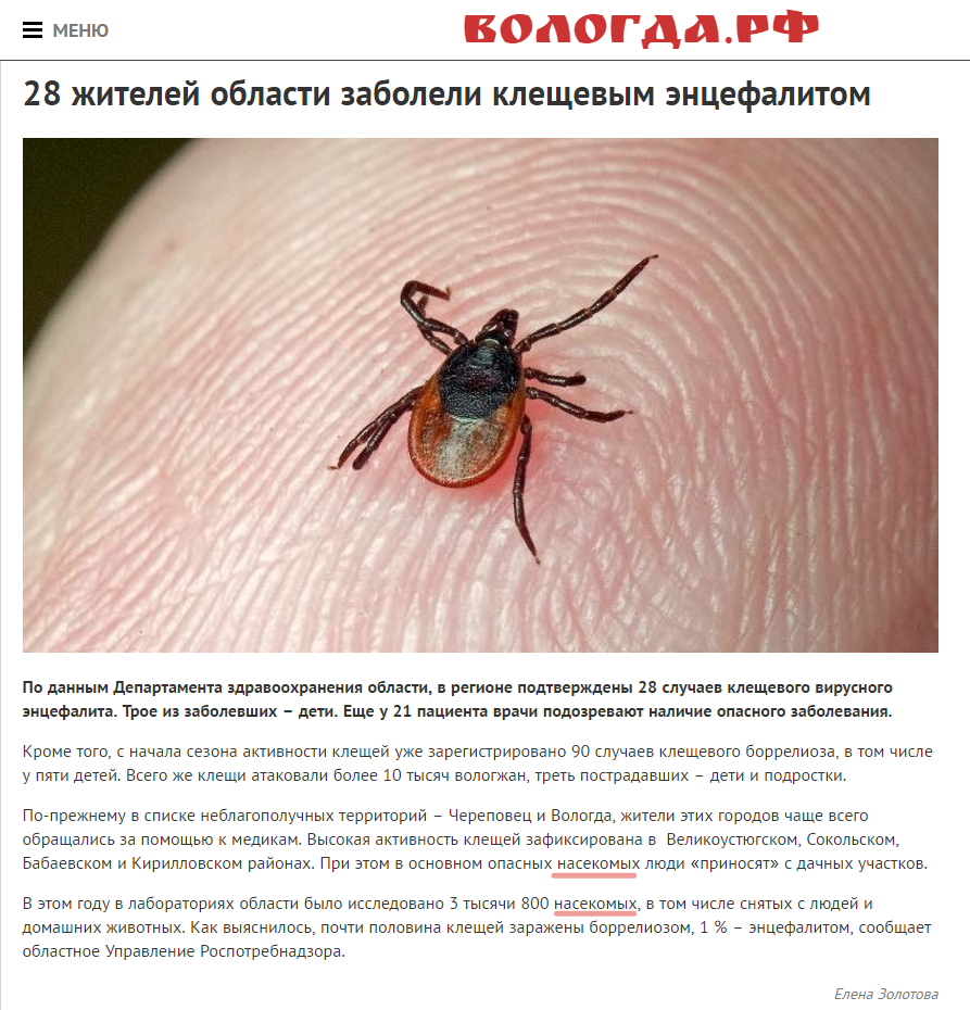 Ticks are not insects - media, Profanation, Infuriates, , Media and press