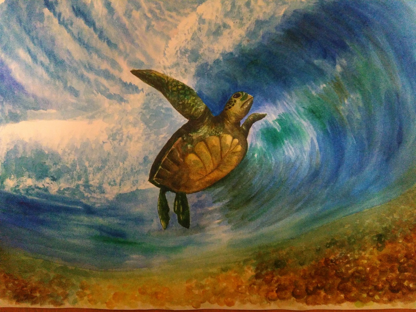 Turtle Surfer - My, My, Turtle, Drawing, Watercolor