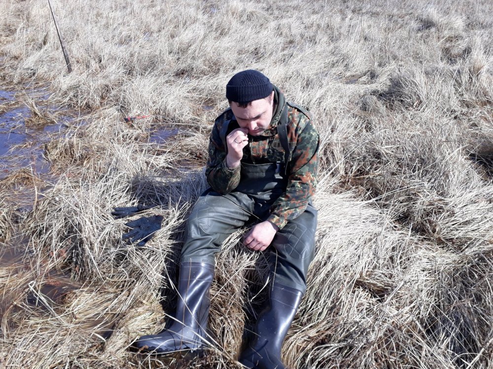 Report from spring goose hunting (Novosibirsk region) - Hunting, Novosibirsk region, , Longpost