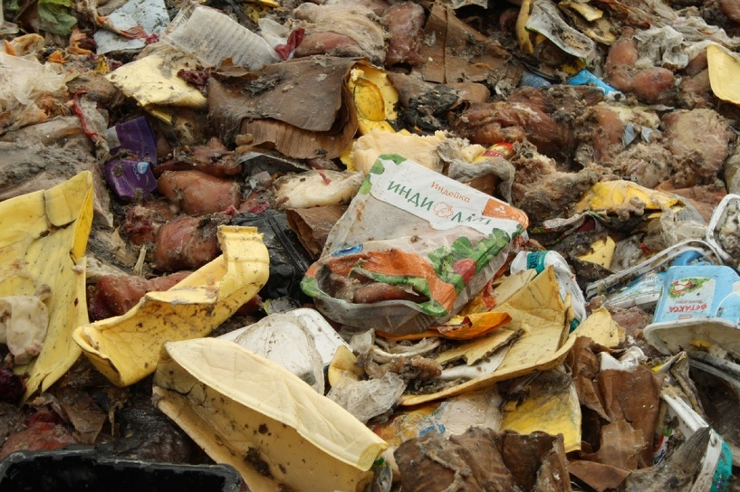 Near Cherepovets, an illegal dump of products from the burnt shopping center Maxi was arranged - Dump, Food, Products