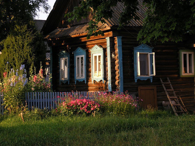 The charm of the Russian hinterland - Village, Homeland, Backwoods, Animals, Longpost, Provinces