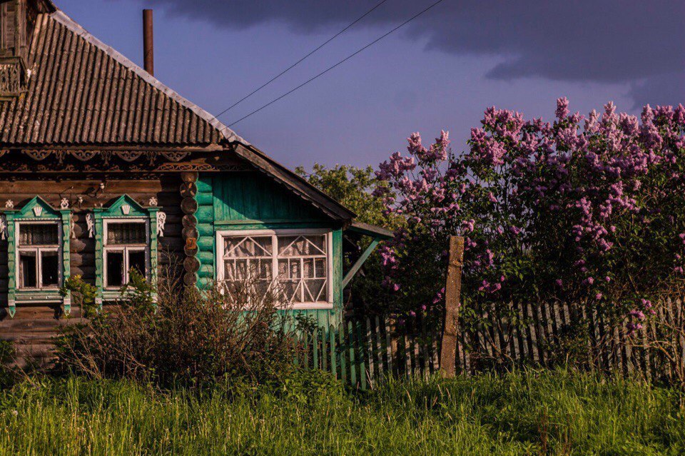 The charm of the Russian hinterland - Village, Homeland, Backwoods, Animals, Longpost, Provinces